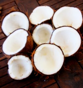 Photo de noix de Coco