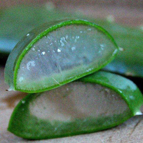 Aloe Vera coupé